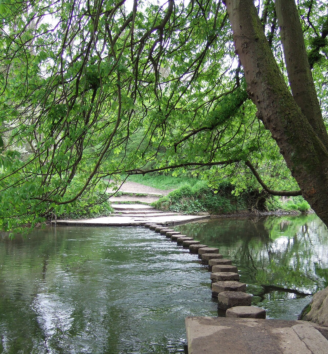 Crossing the River Mole: My Morning on the Box Hill Stepping Stones